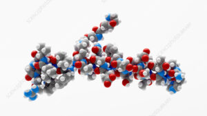 palmer wellness hub best medicine seller in phillipines